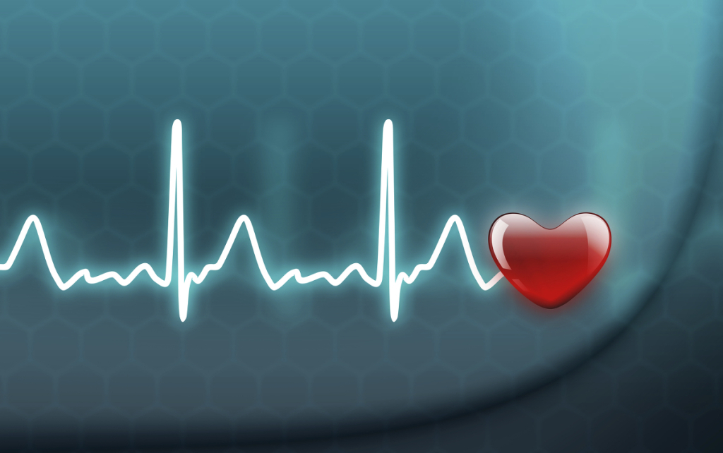 Free BLS-D, PBLS-D course for our students Free BLS-D, PBLS-D course for our students